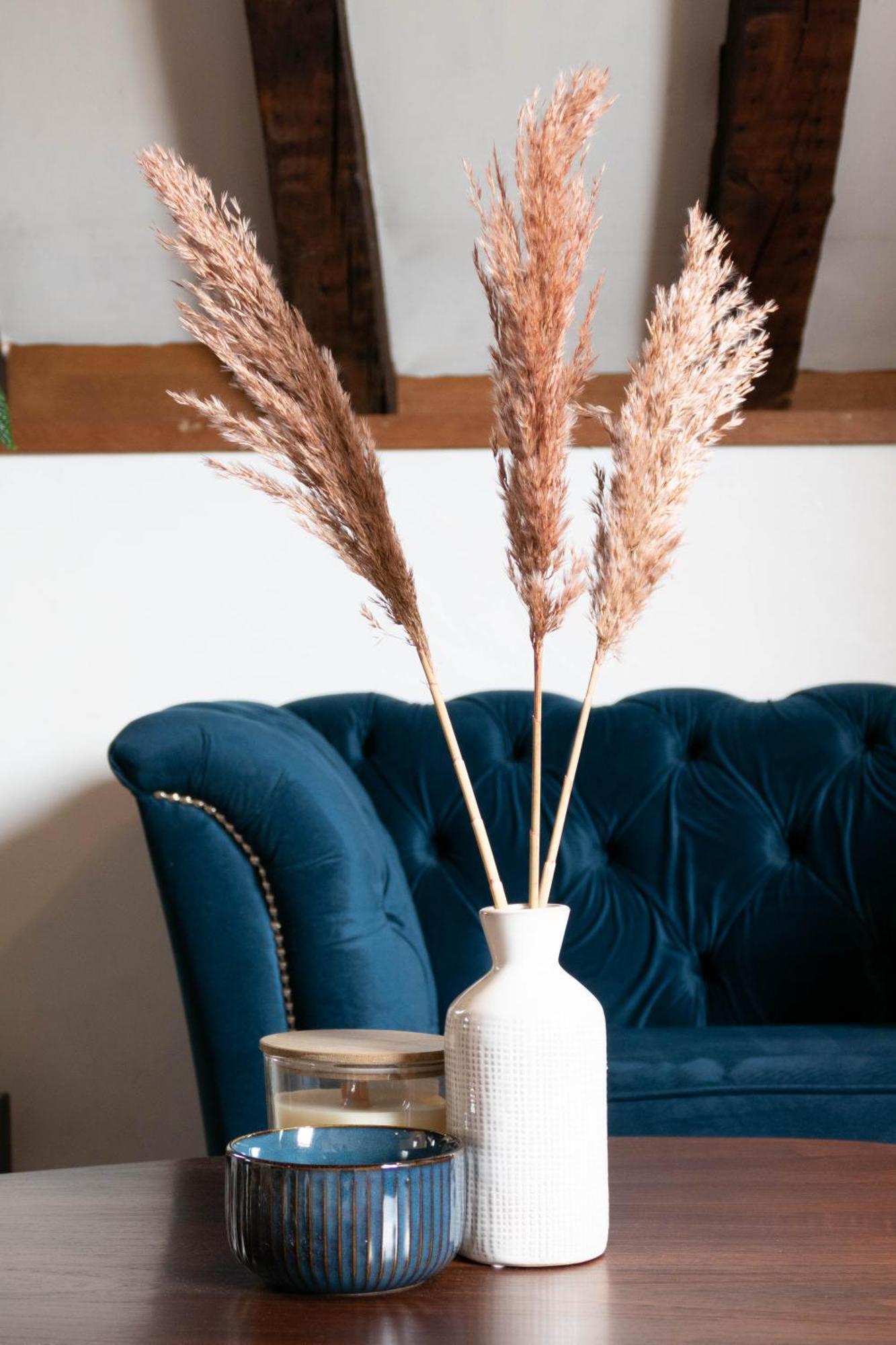 Suite Toussaint - Calme & Authentique Angers Ngoại thất bức ảnh