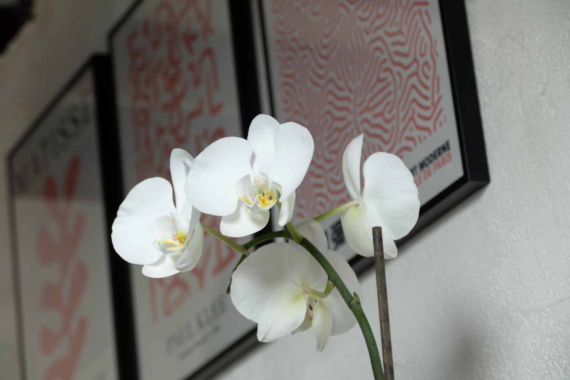 Suite Toussaint - Calme & Authentique Angers Ngoại thất bức ảnh