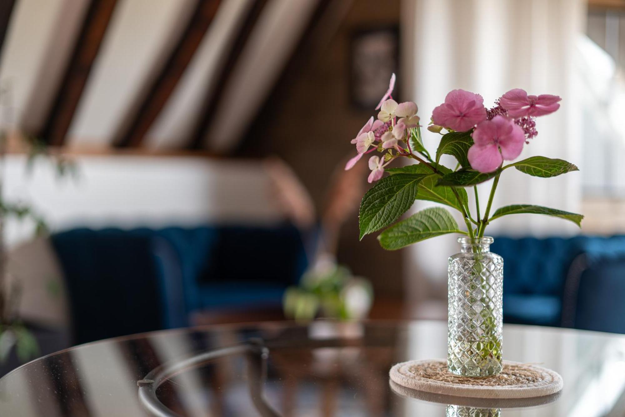 Suite Toussaint - Calme & Authentique Angers Ngoại thất bức ảnh